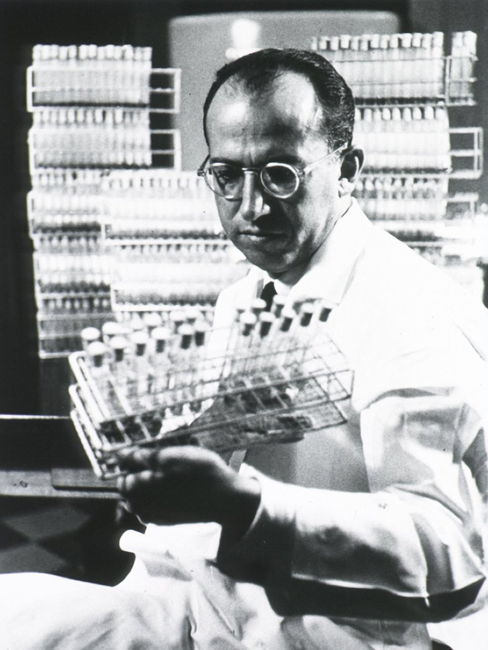 Jonas Salk gilt als Vater der Polio-Impfung. In den zwei Jahren, bevor der Impfstoff allgemein verfügbar war, betrug die durchschnittliche Zahl der Polio-Fälle in den USA mehr als 45.000. Bis 1962 war diese Zahl auf 910 gesunken. 