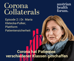 Dr. Maria Kletečka-Pulker, Plattform Patientensicherheit