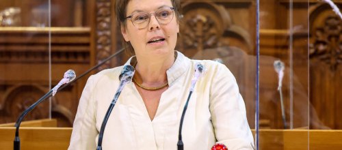 Die Grünen sahen sehr wohl Rot-Pink in der Pflicht: Gesundheitssprecherin Barbara Huemer ortete „ein Versagen der Stadtregierung“. 
