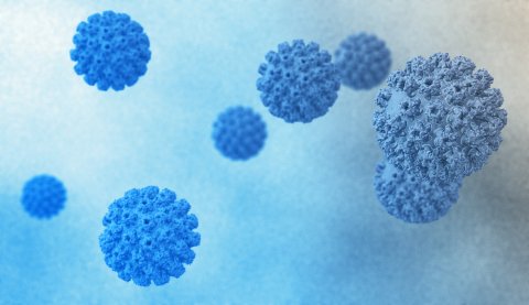 HPV