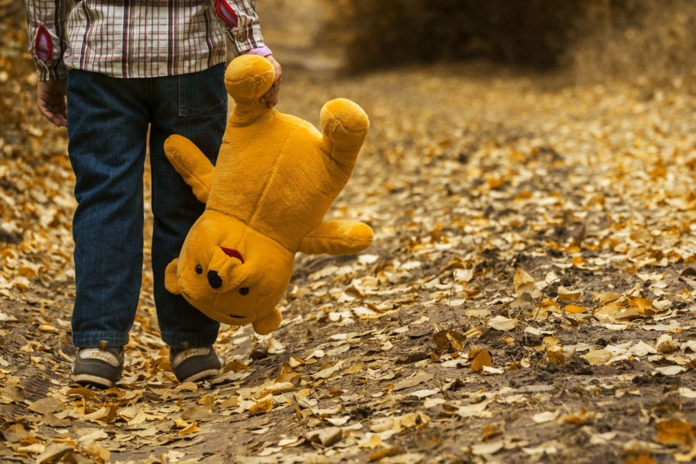 Kind im Wald mit Teddybär
