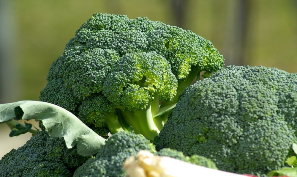 Gemüse Brokkoli
