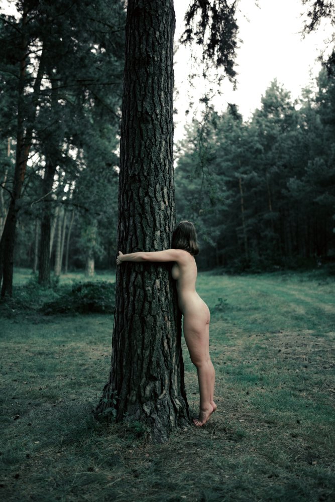 Nackt Baum Treehugging